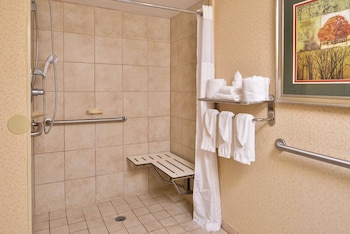 Room, 1 King Bed, Accessible (Roll-In Shower, Mobility & Hearing)