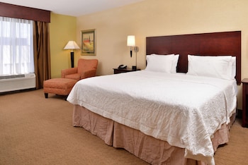 Room, 1 King Bed, Accessible, Bathtub (Mobility & Hearing)