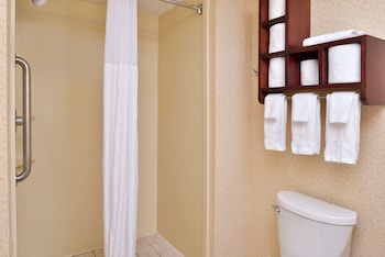 Room, 1 King Bed, Accessible (Roll-In Shower, Mobility & Hearing)