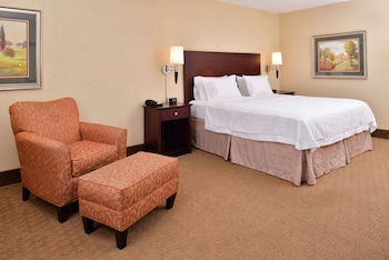 Room, 1 King Bed, Accessible (Roll-In Shower, Mobility & Hearing)