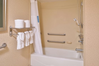 Room, 1 King Bed, Accessible, Bathtub (Mobility & Hearing)