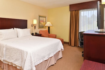 Room, 1 King Bed, Accessible (Roll-In Shower, Mobility & Hearing)