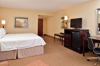 Room, 1 King Bed, Accessible (Roll-In Shower, Mobility & Hearing)