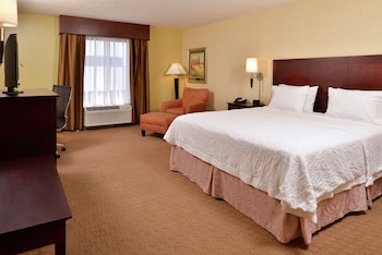 Room, 1 King Bed, Accessible, Bathtub (Mobility & Hearing)