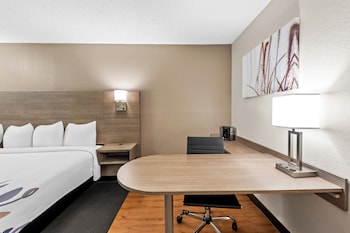 Superior Room, 1 King Bed (Smoke Free)