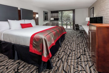 Room, 1 King Bed, Non Smoking