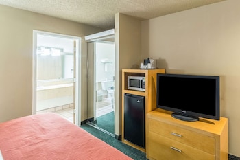 Standard Room, 1 King Bed with Sofa bed, Non Smoking