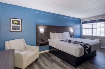 Room, 1 King Bed, Non Smoking