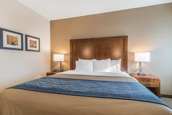 Room, 1 King Bed, Accessible, Non Smoking