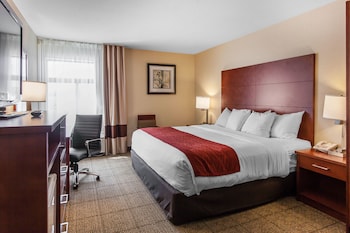 Standard Room, 1 King Bed, Non Smoking (1st  Floor No Pets)