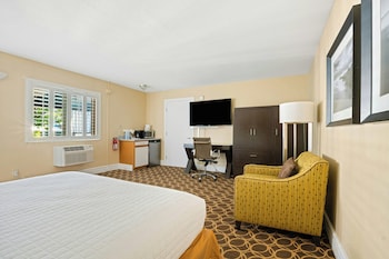 Studio Suite, 1 Queen Bed, Poolside (ADA)