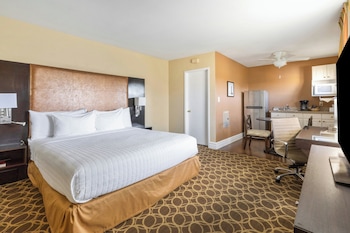Studio Suite, 1 King Bed