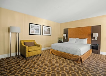 Studio Suite, 1 Queen Bed, Poolside (ADA)