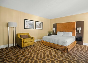 Studio Suite, 1 Queen Bed, Poolside (ADA)