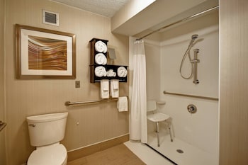 Room, 1 King Bed