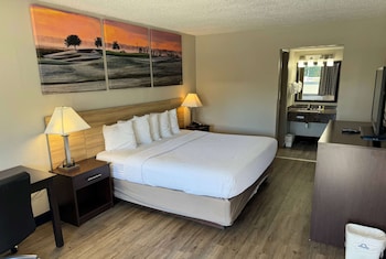 Room, 1 King Bed