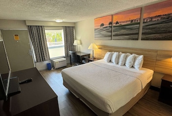Room, 1 King Bed, Accessible, Non Smoking (Mobility/Hearing/Roll in Shower)