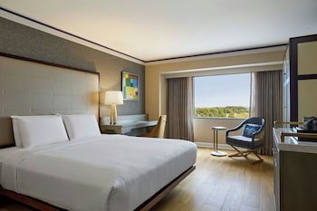 Room, 1 King Bed