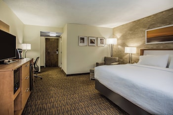 Premium Room, 1 King Bed, Accessible (Mobility)