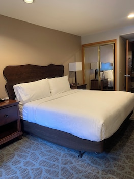 Standard Room, 1 King Bed, Bathtub (Hearing, Mobility)