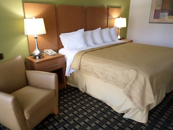 Standard Room, 1 King Bed, Non Smoking (Handicap Accessible)