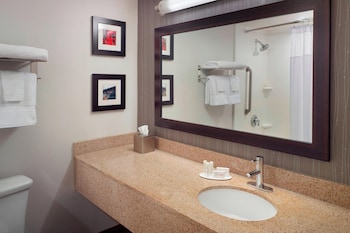 Suite, 1 Bedroom, Roll-in Shower (Transfer Shower)