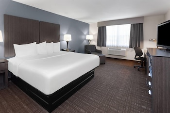 Room, 1 King Bed, Non Smoking