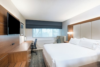 Standard Room, 1 King Bed, Accessible (Mobility)