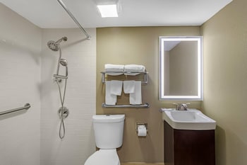 Suite, Non Smoking (1 King Bed, Accesible)