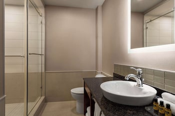 Executive Room, 1 King Bed, Non Smoking (Shower Only;Larger Room)