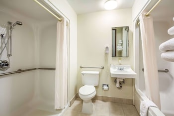Room, 1 King Bed, Accessible, Roll-In Shower