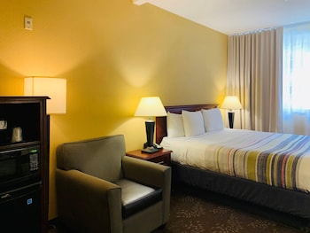 Room, 1 King Bed, Non Smoking