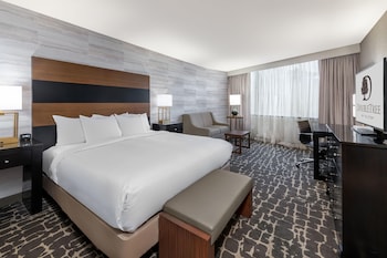 Standard Room, 1 King Bed with Sofa bed