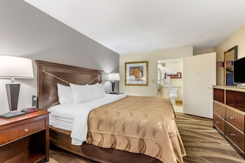 Standard Room, 1 King Bed, Non Smoking
