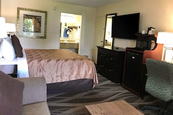 Room, 1 King Bed with Sofa bed, Non Smoking