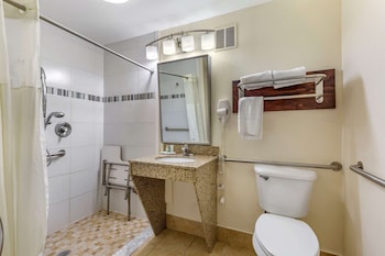 Room, 1 King Bed, Accessible, Non Smoking
