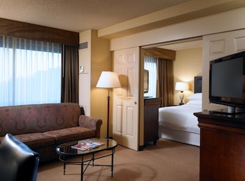 Suite, 1 King Bed with Sofa bed