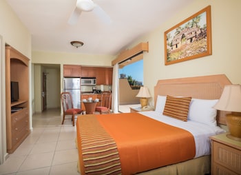 Standard Studio Suite