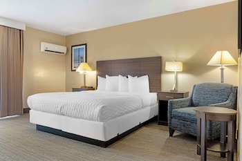 Standard Room, 1 King Bed, Accessible, Refrigerator & Microwave
