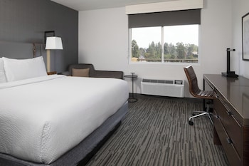 Traditional Room, 1 King Bed
