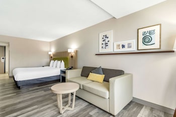 Studio Suite, 1 King Bed with Sofa bed, Non Smoking