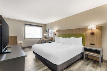 Room, 1 King Bed, Accessible, Non Smoking