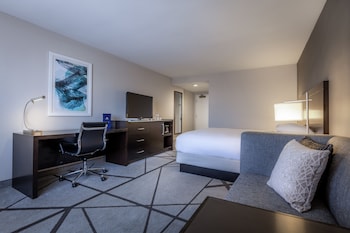Room, 1 King Bed, Non Smoking, Bathtub
