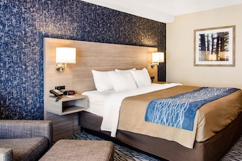Room, 1 King Bed, Non Smoking (Ground Floor)