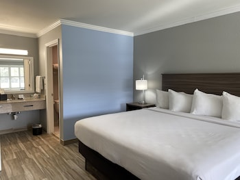 Standard Room, 1 King Bed with Sofa bed