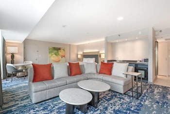 Suite, 1 King Bed (1 Bedroom)