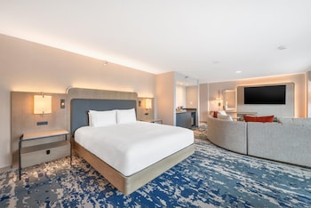 Studio Suite, 1 King Bed with Sofa bed, Park View