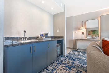Studio Suite, 1 King Bed with Sofa bed, Park View