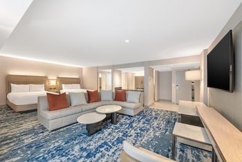 Studio Suite, Multiple Beds, Accessible, Park View (Accessible Hearing, Park Facing)