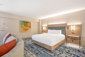 Studio Suite, 1 King Bed with Sofa bed